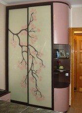 Шафи купе на замовлення R Київ у виробника з виробництва