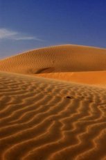 Пісок будівельний від 12тн. Доставка.