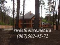 Продаж котеджу в оточенні сосен.