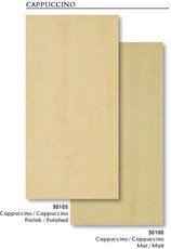 Фасадна плитка (керамограніт)