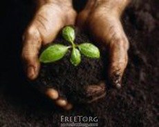 Чорнозем, пісок, цемент, керамзит, перегній. Доставка беспл