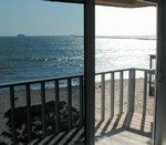 СОЛНЦЕЗАЩИТНЫЕ ПЛЕНКИ