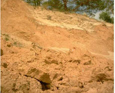 Глина Дніпропетровськ