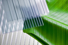 Стільниковий полікарбонат в Бровари, Ірпінь, Бориспіль, Васи