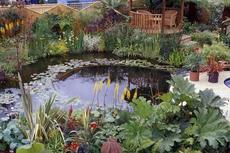 Водойми для ділянки, саду, дачі