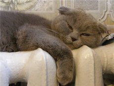 Опалення. Монтаж систем опалення. Харків.