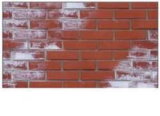 Засіб для зняття висолів (солі) зі стін