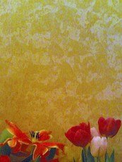 декоративна обробка. венеціанка.