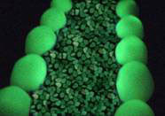 Сяючі камені