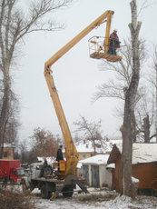 Видалення дерев Обрізка дерев Корчування пнів. покіс тр