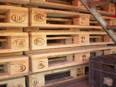 Куплю піддони