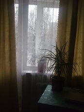 терміново здам