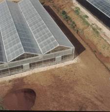 Полікарбонат для навісів