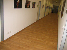 Ламінат Eco Forest