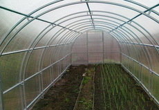 Каркаси тепіц (теплиця кремлівська)