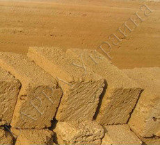 Ракушняк кримський