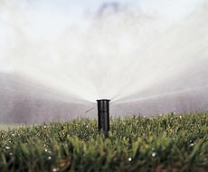 Автоматичний полив