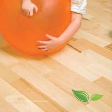 Укладання і ремонт ламінату, паркетної дошки.