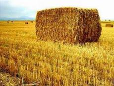 Екодома Straw-bale грн. м2 під ключ