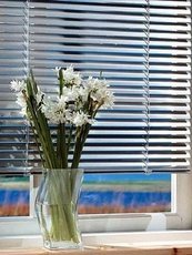 жалюзі, ролети