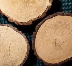 плитка для доріжок