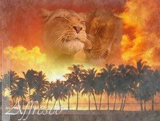 ФРЕСКИ «AFFRESCO», ШПАЛЕРИ РУЧНОЇ РОБОТИ.