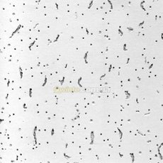 Підвісні стелі Armstrong / Армстронг