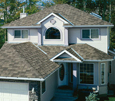 Бітумна черепиця, металочерепиця.