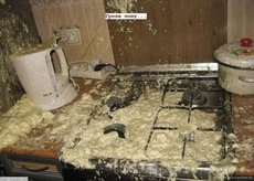 Змивка монтажної піни