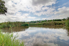 Продам земельну ділянку 37 соток з будинком на березі в Кам&