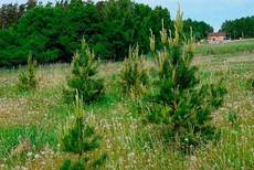 Ділянка 86 км. Сімферопольського шосе. Все включено.