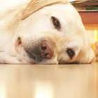 антиобморожувачів системи