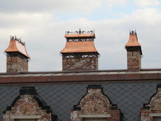 Будівельні роботи, покрівельні роботи.