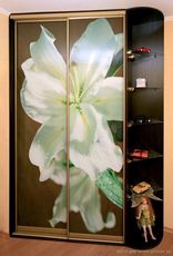 Шафи-купе Київ недорого