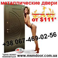 Вхідні металеві двері