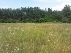 Ділянка 45 км від Києва