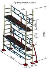 Ліси клино-хомутові