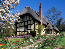 Заміське будівництво будинків