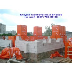 Блоки (газобетон) стеновые, перегородочные автоклавные `AER