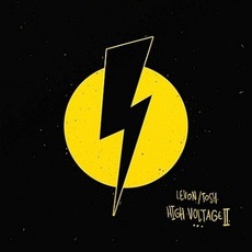 Ремонт електрики якісно. терміновий виклик електрика. донец