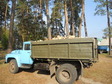 Дрова (Киев, Киевская область)