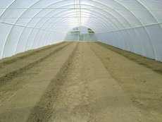 теплица пленочная