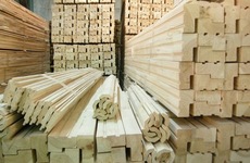 Продається брус, дошка обрізна, необрізна. Київ.