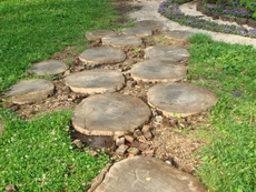 сдам в аренду электропилу