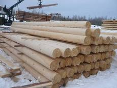 оцилиндрованное бревно