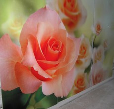 Корпусні меблі та комплектуючі від виробника.