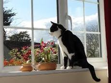 Ремонт ПВХ вікон в Києві і київській області (від 30грн)