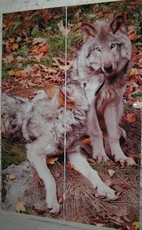 Екологічно чиста фотодрук-ламінат для фасадів шаф.