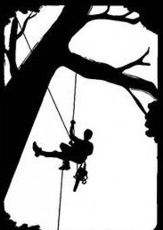 Спилювання дерев