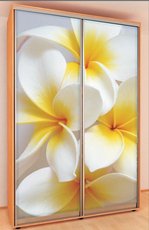 Шафа-купе 1000 х 450 х 2100! Акція!